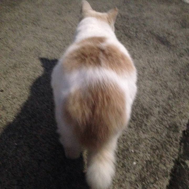 B190eaae 0bdd 46f0 be89 88fe72c3339e