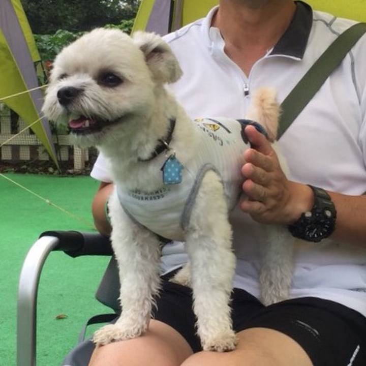 B1911610 71ab 408f 9deb 71674840f634