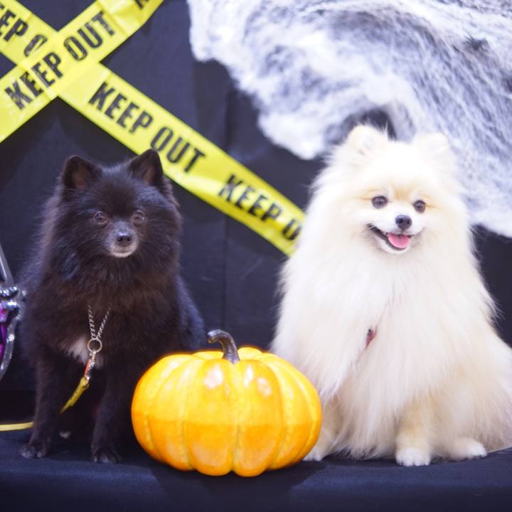 B1911e57 fc01 431e 999a 2d2b7f215d23