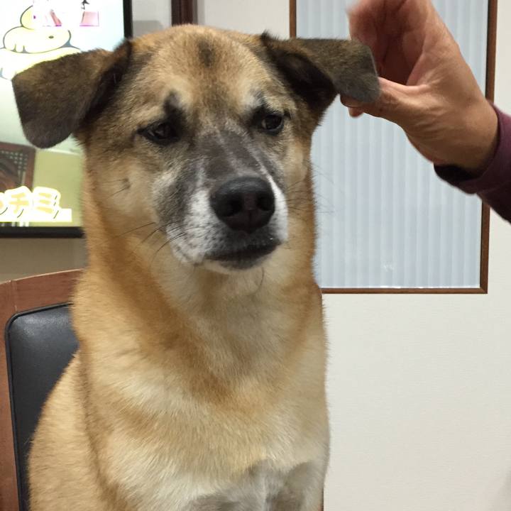 B1913da2 f848 4fea 8e44 79f00df5173a