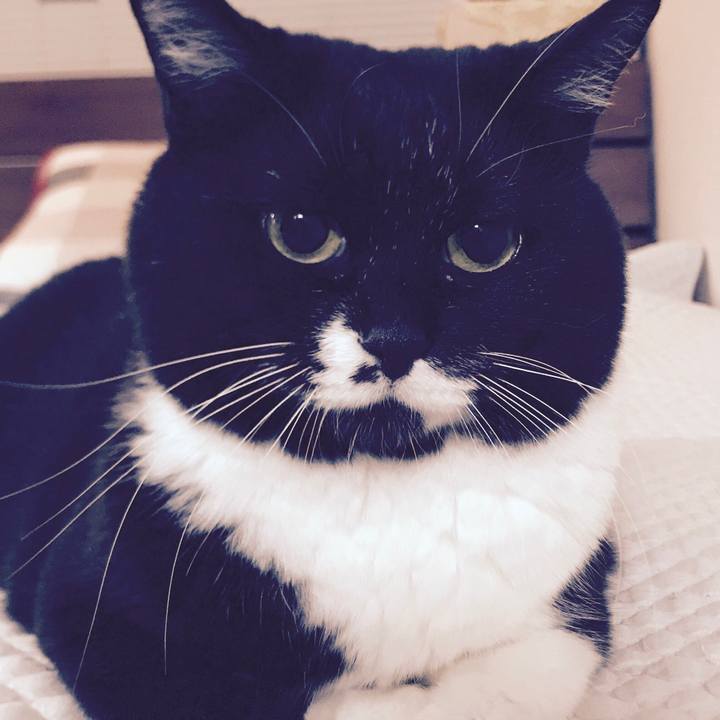 B19186a0 8599 4852 a074 ad3db0117342