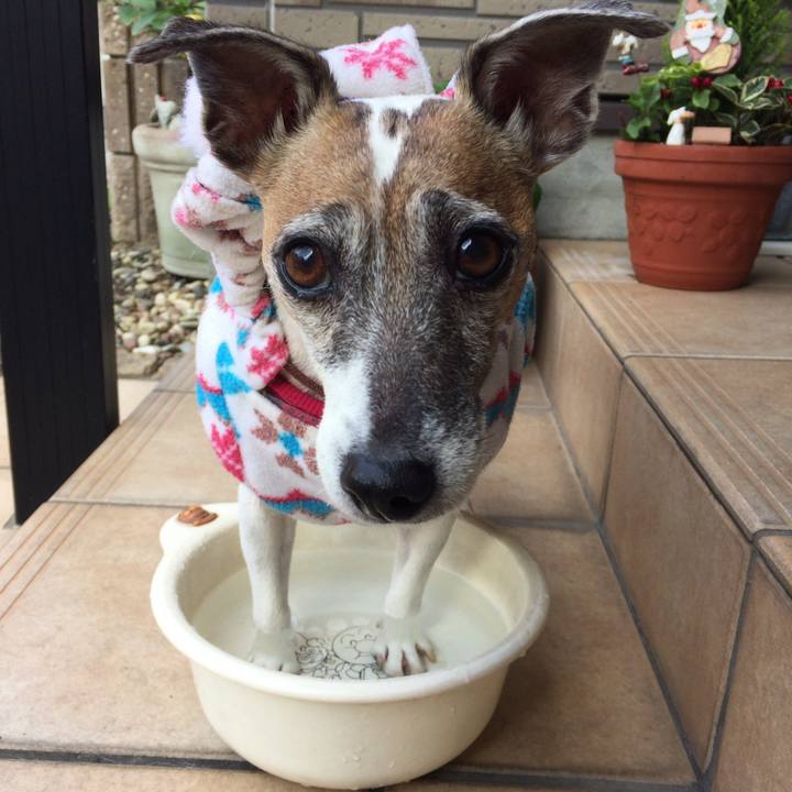 B1924b06 5288 4742 b953 8d42230e9a5b