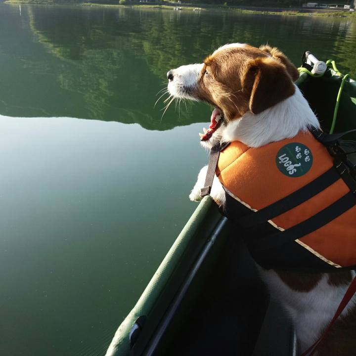 B192b8a8 665b 4141 968d edc4687373f6