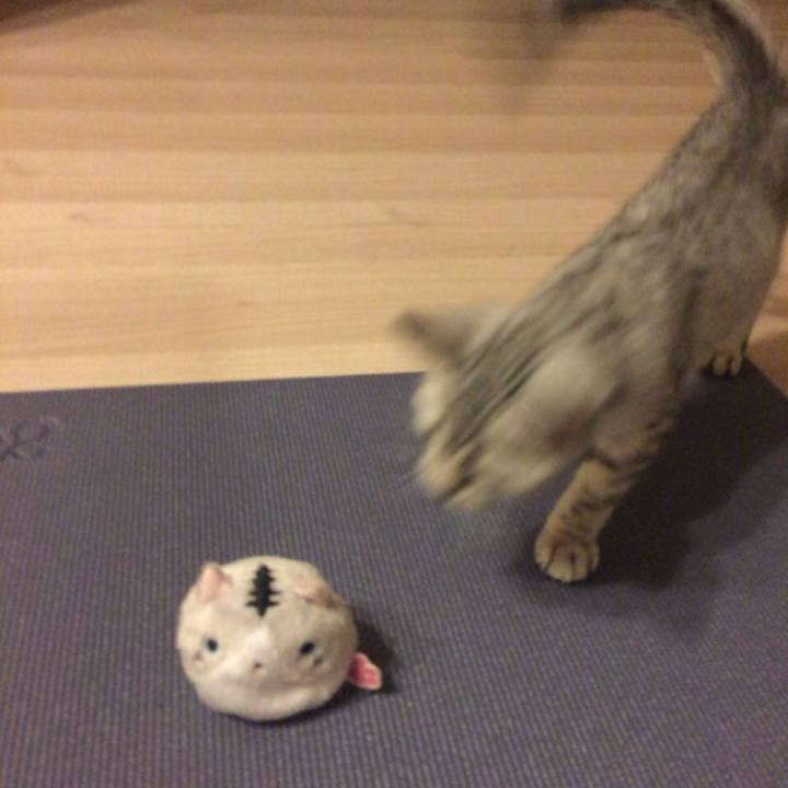 B1939c7e cd87 43fe af56 5b924ab4e7aa