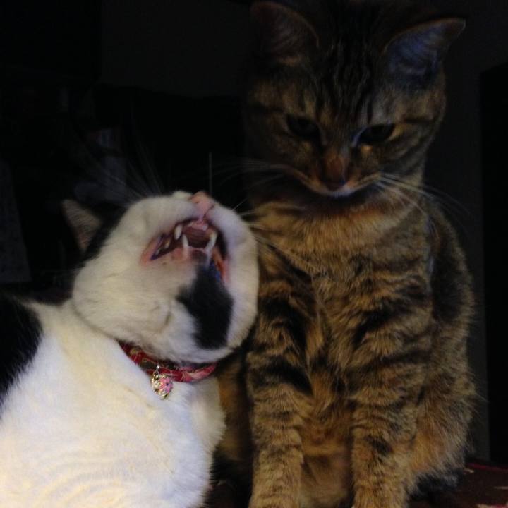 B193cb97 4446 43e0 be66 abd87e49d3be