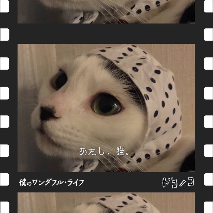 B194014d 1599 4afc ab09 7adef1d81a27