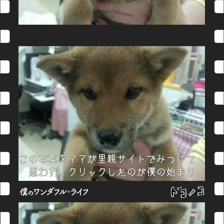 B1941011 2922 45eb ae54 fe6a7cff5835