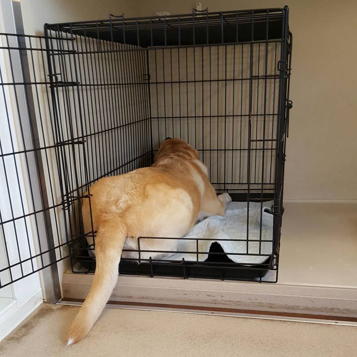 B1952bd4 3d0c 412e a24d 8d5f5c28755b