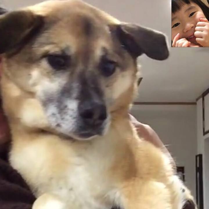 B19536a1 9683 48a4 a52d fc8a9f7b5407