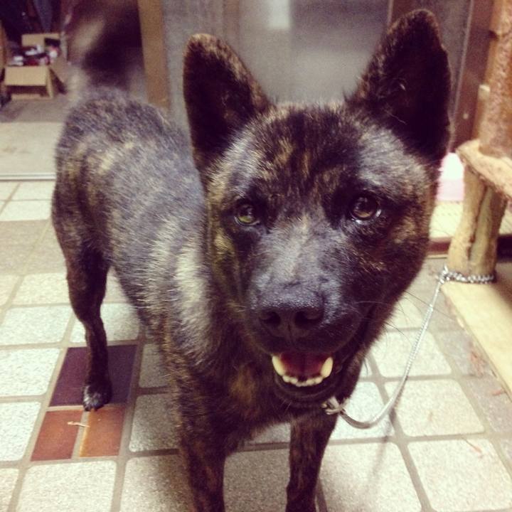 B1956ec3 b283 4a82 b862 57900c25df3d