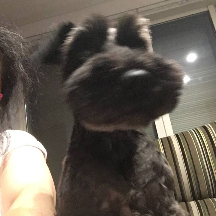 B195f776 0b76 4726 908c 08f5e64ee0a3