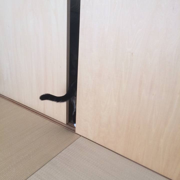 B1962e7a 83e4 4e34 81ff 535471aaa5bd