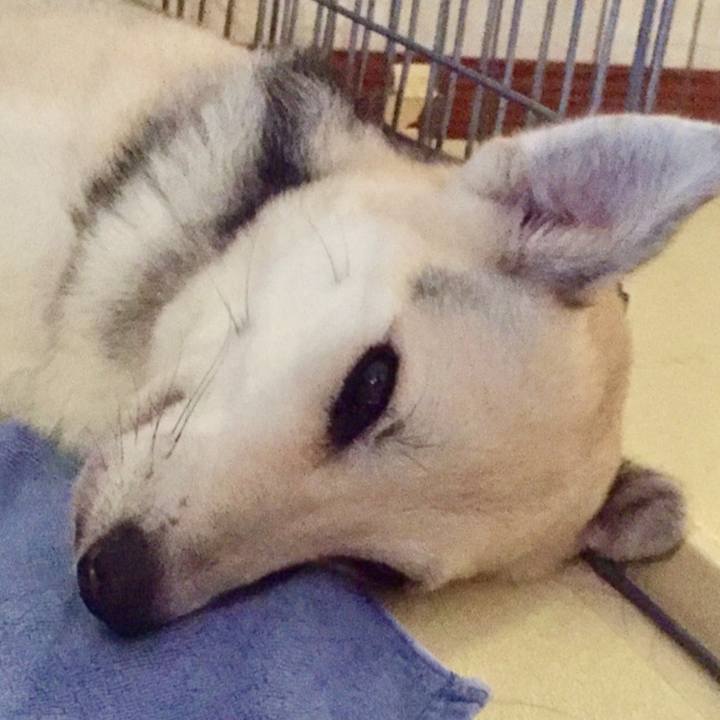 B1963ea1 c926 41df 8053 0700be4c4c24