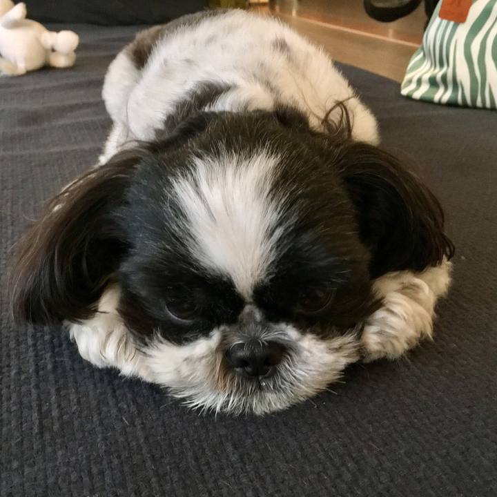 B1967d9f f3af 40ed 9d98 5cc3950ef4ff