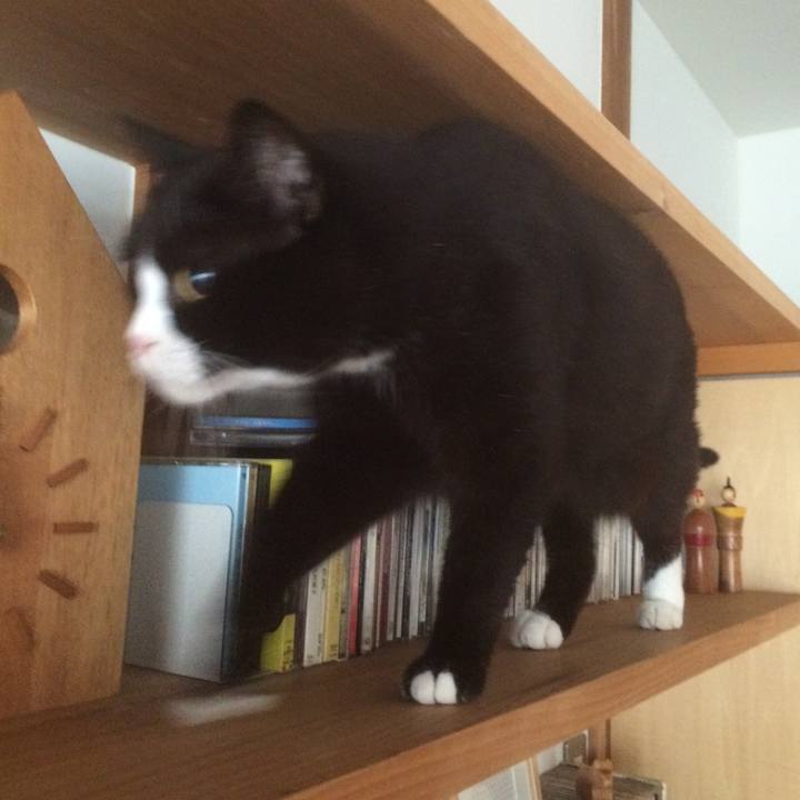 B196e5fc 0975 4828 adac 907fd6960233