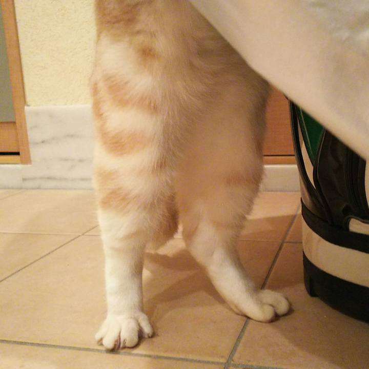 B1978282 d099 4133 b4b4 0ce4ceb63c2f