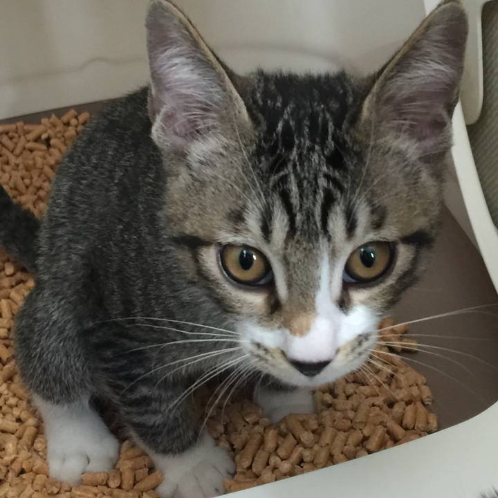 B1979e52 0efd 473f 8586 8439debed936