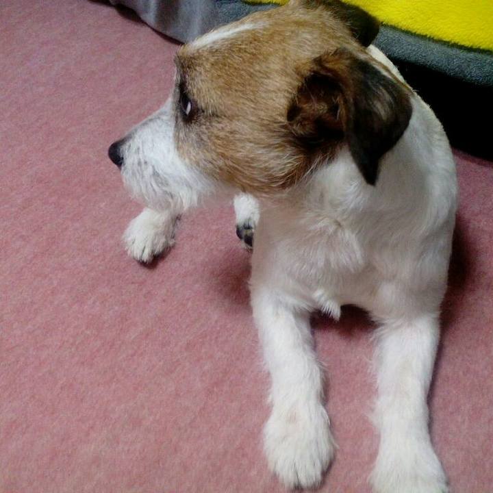 B197bded dfb6 4ccd 8b36 e37910877a2f