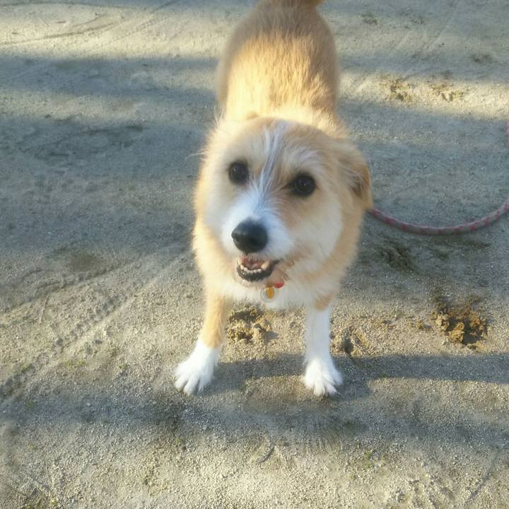 B197e26f 7d33 484a ad93 e8c62f5a81b5