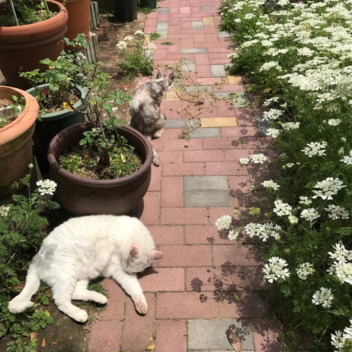 B1984a0d 2154 4c6a 854d e8ec18e66b64