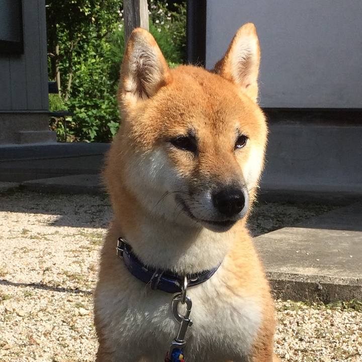 B1986bef 558e 47ee 867a 98dd02e9b11e