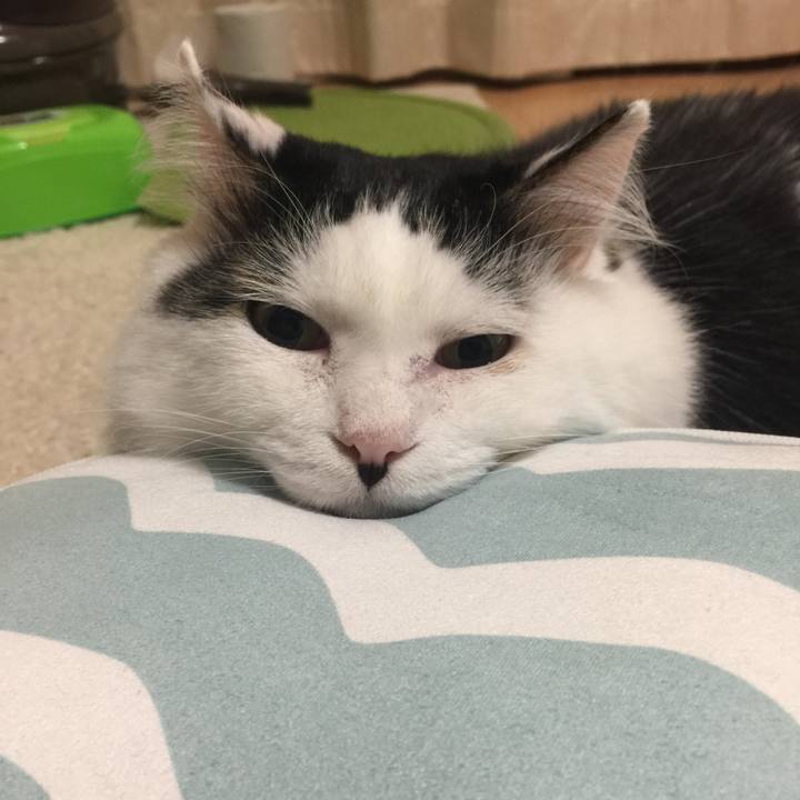 B198db09 9a5d 4096 8489 7c19019ab8f0