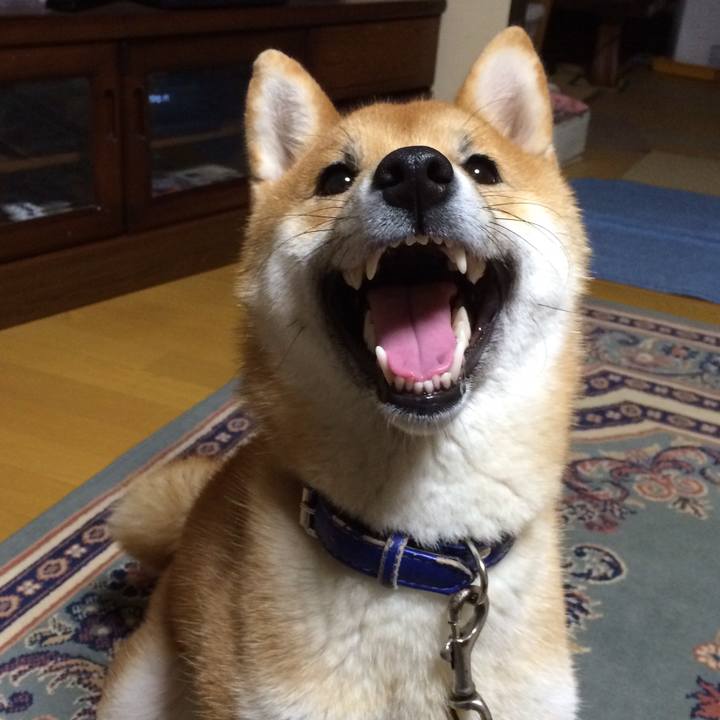 B1998787 9887 4af7 9707 79995ff1ddae