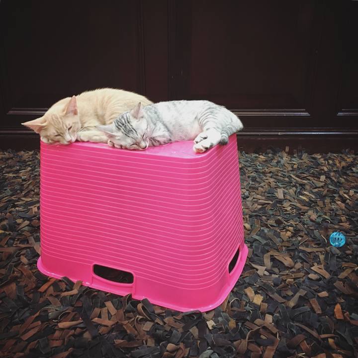 B199f2b2 4af7 4578 a50c ec891d4d82a9