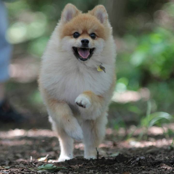 B19a92d1 3ddb 4f47 90b2 4bb06d8a746b