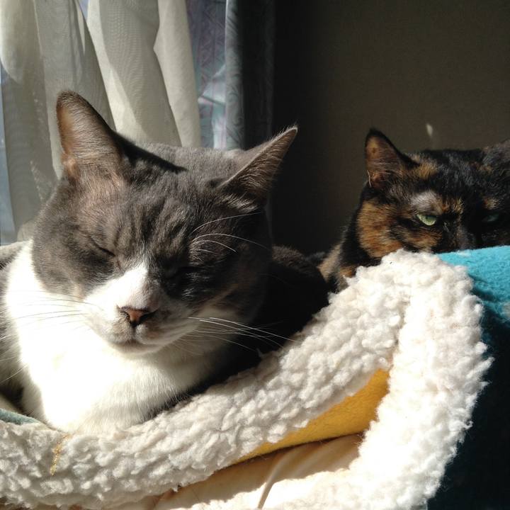 B19adde1 1130 4f56 8ce4 598e2bd0c254