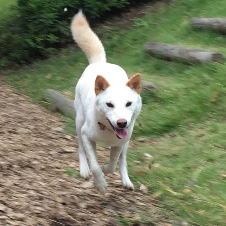 B19b8422 7050 439a 9907 d62352673b31