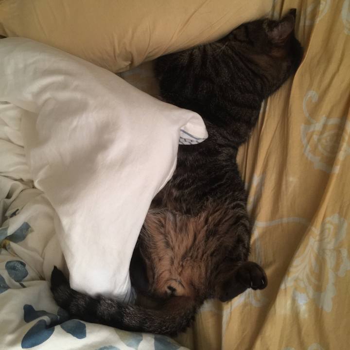 B19bba79 2f0d 47d8 acf6 4e2de0c96409