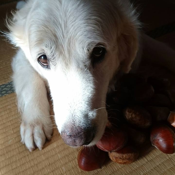 B19be0aa 3176 4275 8017 3cdc855a4bbf