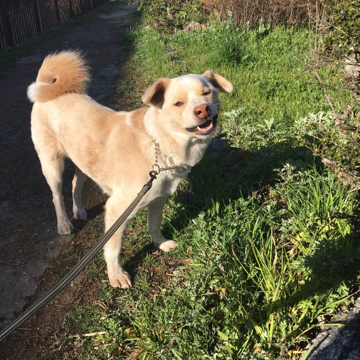 B19c77c1 f1ae 41b5 b730 068e5bb4a920