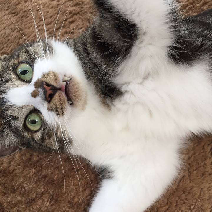 B19c78be 48a5 42a8 94e1 90d34707651b