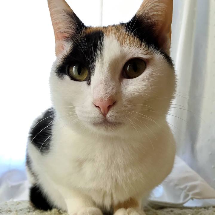 B19c8a96 5dac 4566 b440 b9576b489cd0