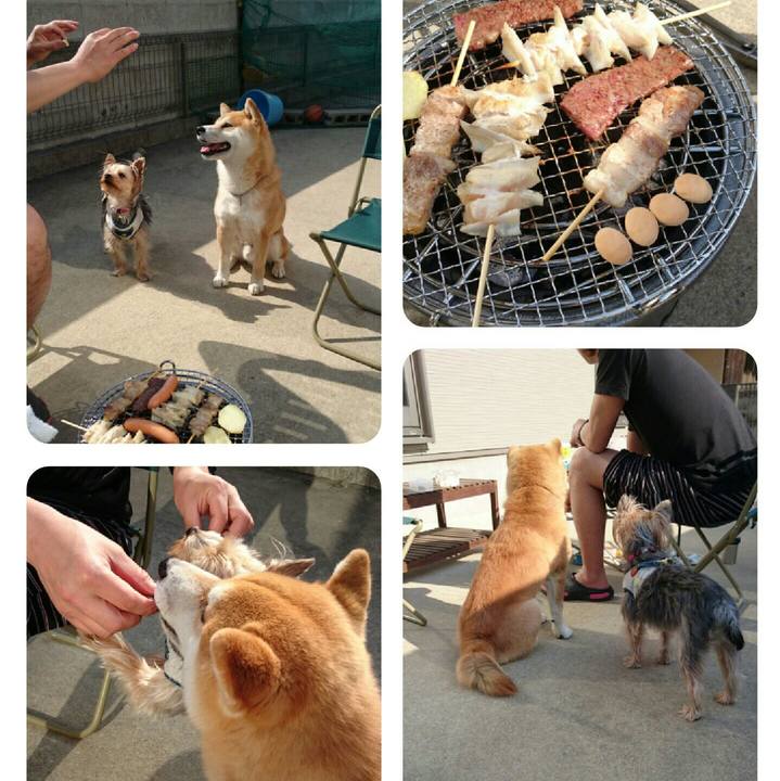 B19ca4e9 3ccb 4c58 8103 dad80577b02a