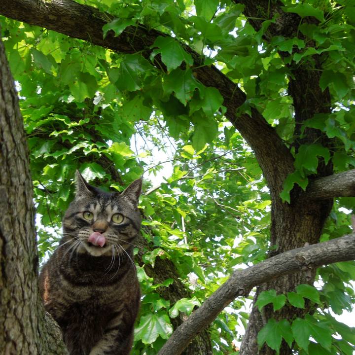 B19ccb82 ae8d 4f94 8094 97e904d73f44