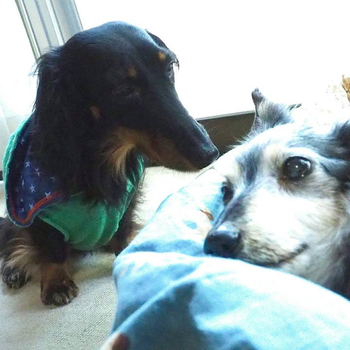 B19cf545 90ff 47db 9b64 15c14b7ed0b7