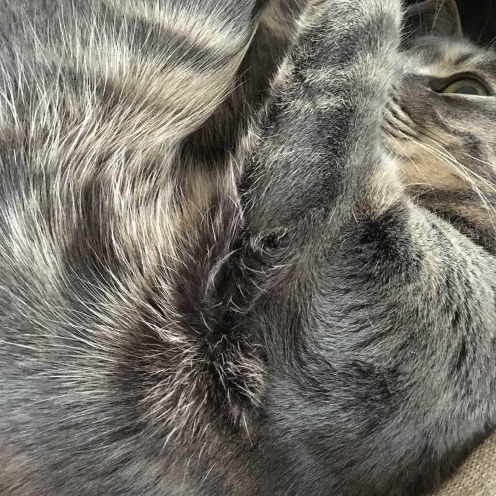 B19d1923 d6b5 4622 b621 8fd2f05f2e53