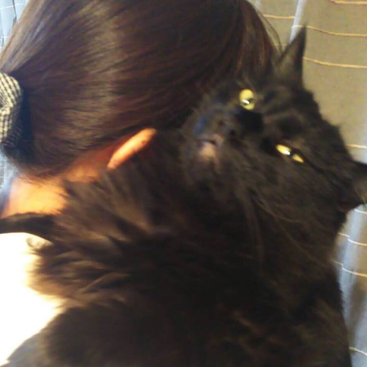 B19d6fa0 4d6e 4981 a4f5 551f6be28cae