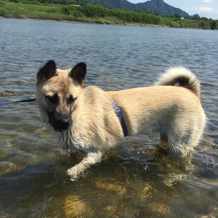 B19d7223 259f 423e 95f8 5d6f0f1c2603