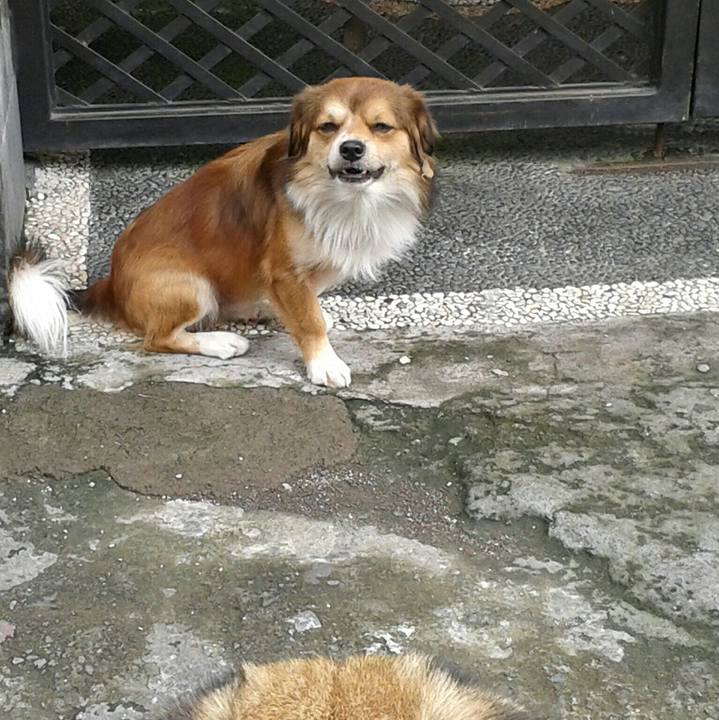 B19e25d5 a56d 47db a5bb 995960d68de9