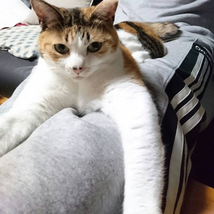 B19e2ad5 a92d 44bf 9962 0057395c75ce