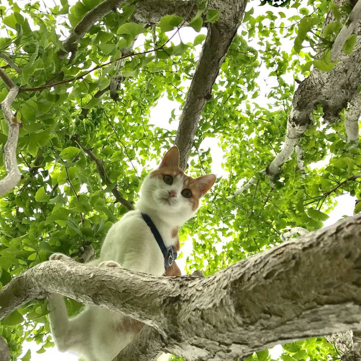 B19e30f7 1cca 4a73 a501 b5760ec176e7