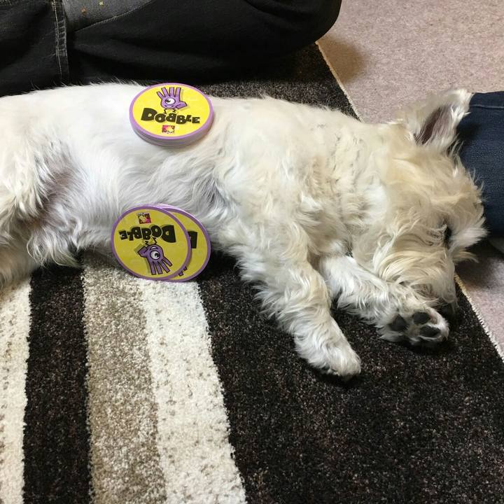 B19ed95c 0f41 404c b7bf bf294576c5bb