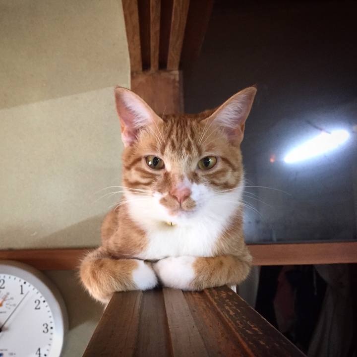 B19f5235 c5a5 47c0 9a6b 44d16adf1368