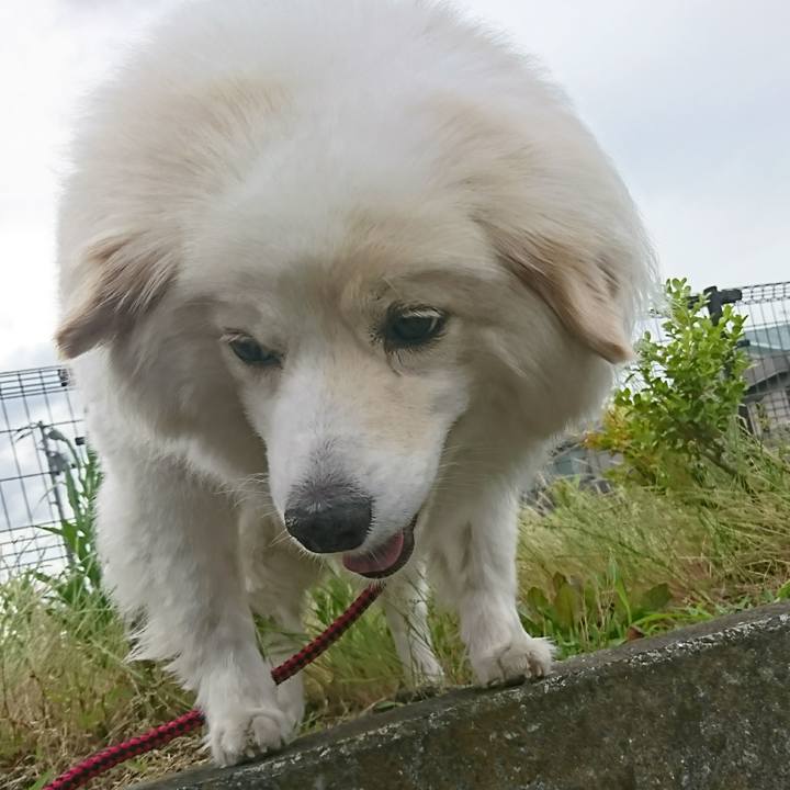 B1a01aa7 d3f9 4dda a1fa 06c6f4b3def3