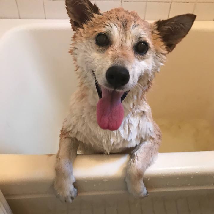 B1a04a5c 6a28 4b8a 9f8d 6dff7499aaea