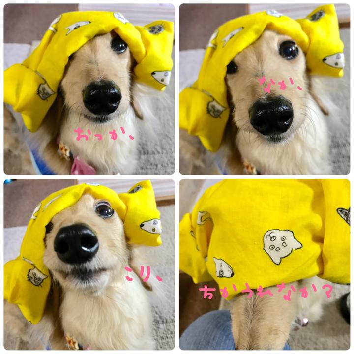 B1a058ed 5ee6 4e65 be4b 77f9da4b2538